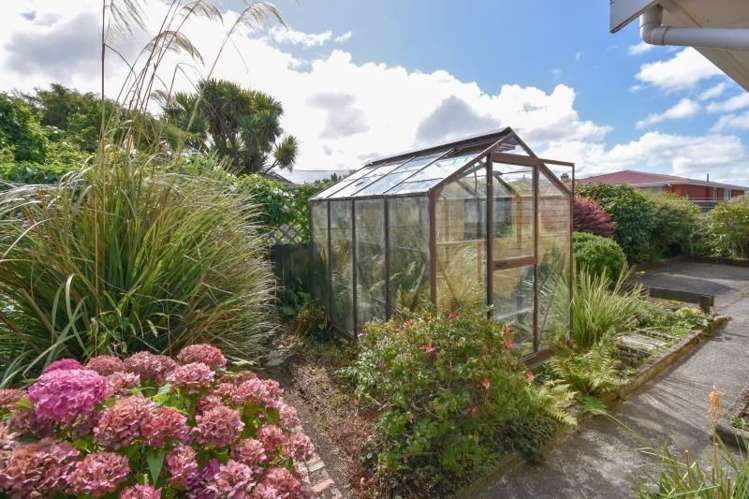 35 Fawcett Street South Dunedin_9