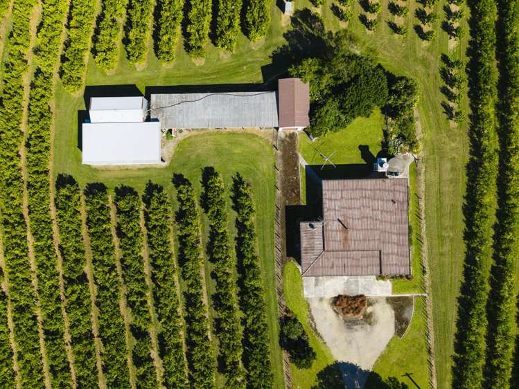 75 Brown Road Ormond_20