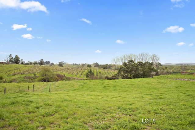 48 Moorfield Road Te Kauwhata_4