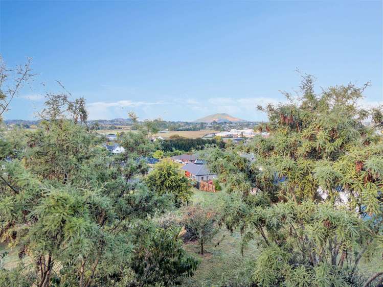 283 Picquet Hill Road Te Awamutu_9