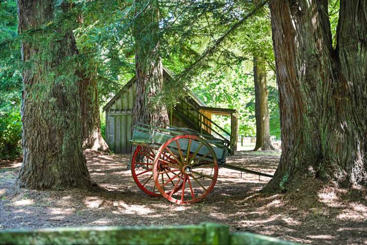 781c Bruntwood Road Tamahere_29