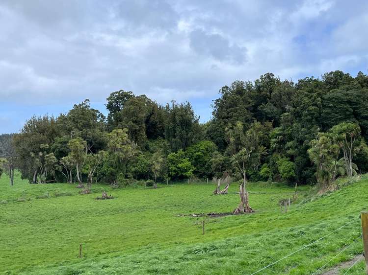 78 Brandon Hall Road Bulls_11