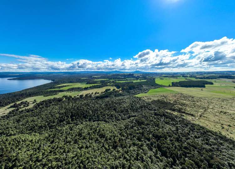 331 Kawakawa Road Lake Taupo_3