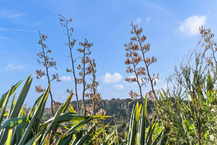 14 Pa Hill Lane Mangawhai_7