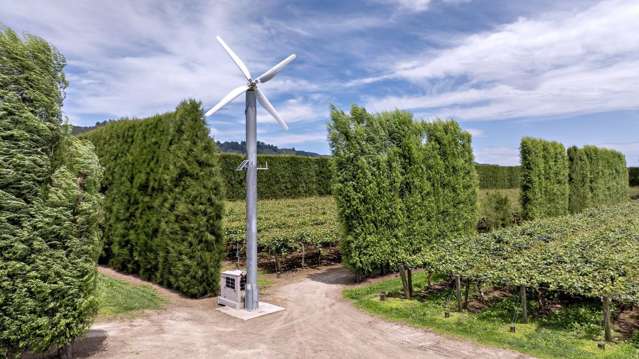 469 Western Drain Road Edgecumbe_2