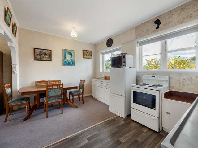 3 Plunket Terrace Hamilton East_2