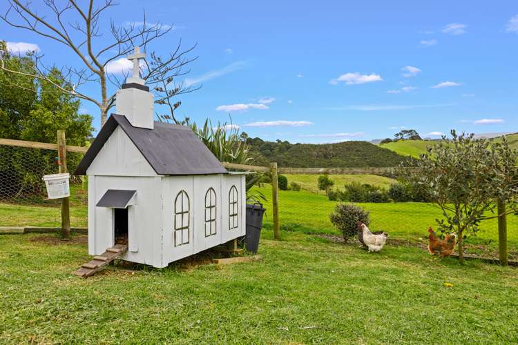 286 Austin Road Dairy Flat_29