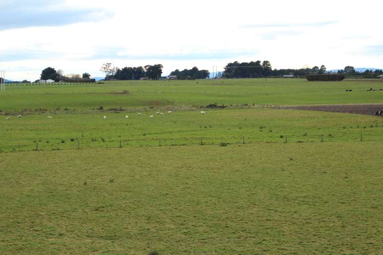 141 Myross Road Myross Bush_15