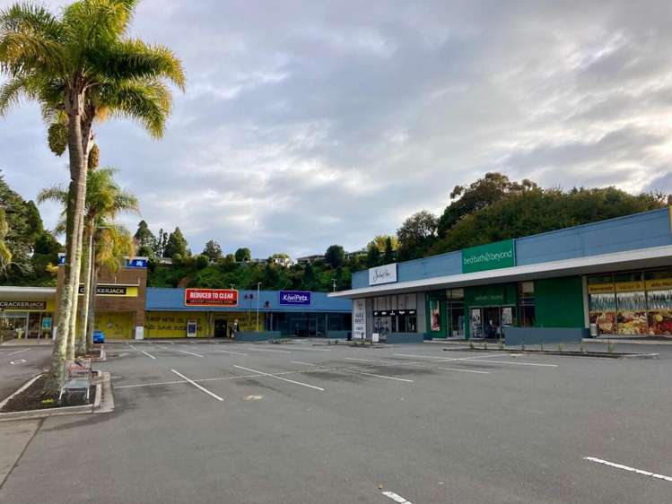T30B/223-233 Fraser Street Tauranga South_5