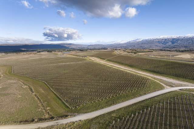 Lot 107 McArthur Road, Mount Dunstan Estate Alexandra_2