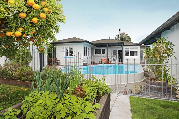 1252 Louie Street Parkvale_8