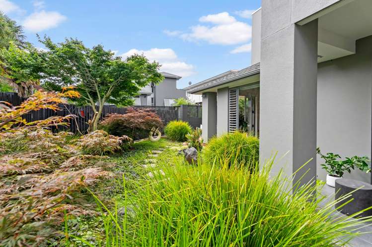 5 Haydn Avenue Royal Oak_4