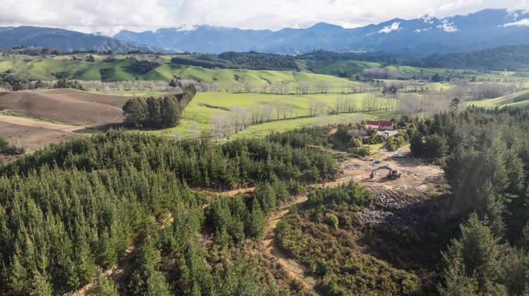 441 Waiwhero Road Ngatimoti_42