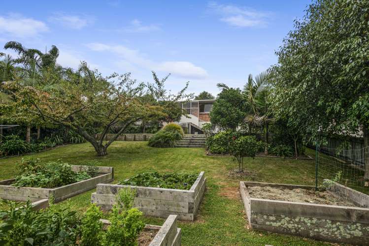 37 Collingwood Street Judea_16