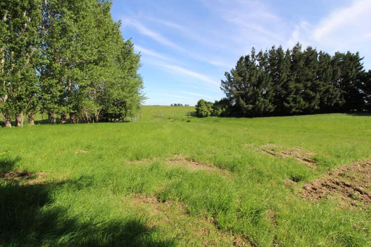 202 Mako Road Winton Surrounds_16