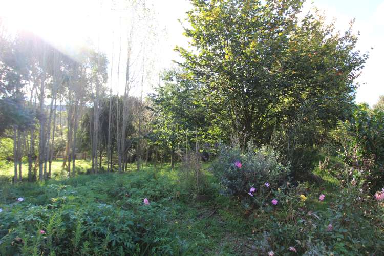 199 Waituna Road Pahiatua_11