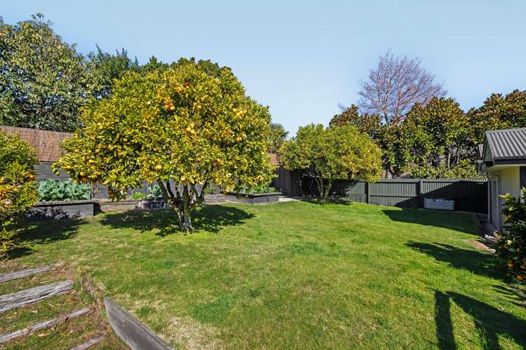 7 Ernlea Terrace Cashmere_21