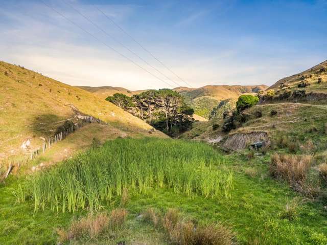 Lot 2/269 Grays Road Pauatahanui_4