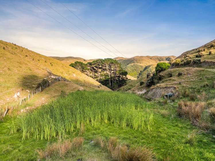Lot 2/269 Grays Road Pauatahanui_8