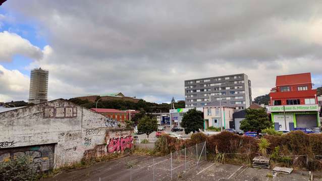 7/3 Kelvin Grove Te Aro_1