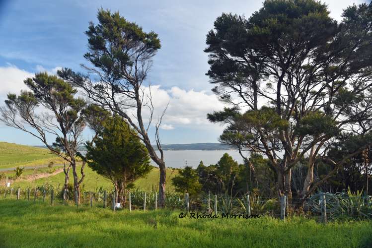 100 Te Wairoa Lane Matakohe_32