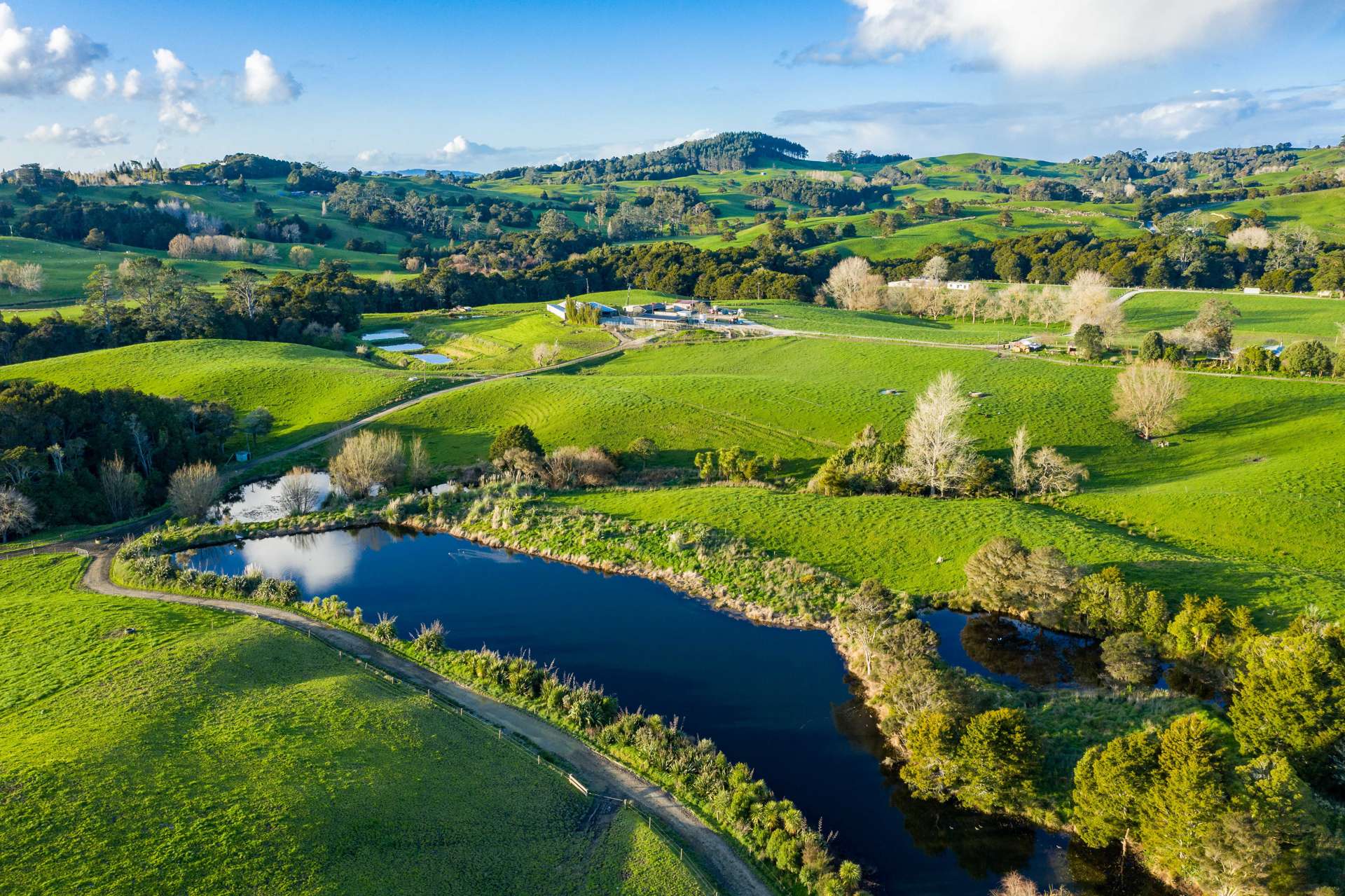 400 Partridge Road Wellsford_0