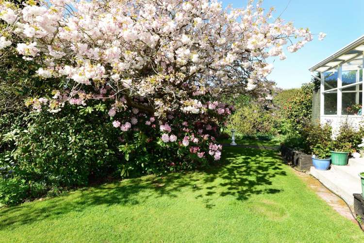 36 Frederick Street Makikihi_17