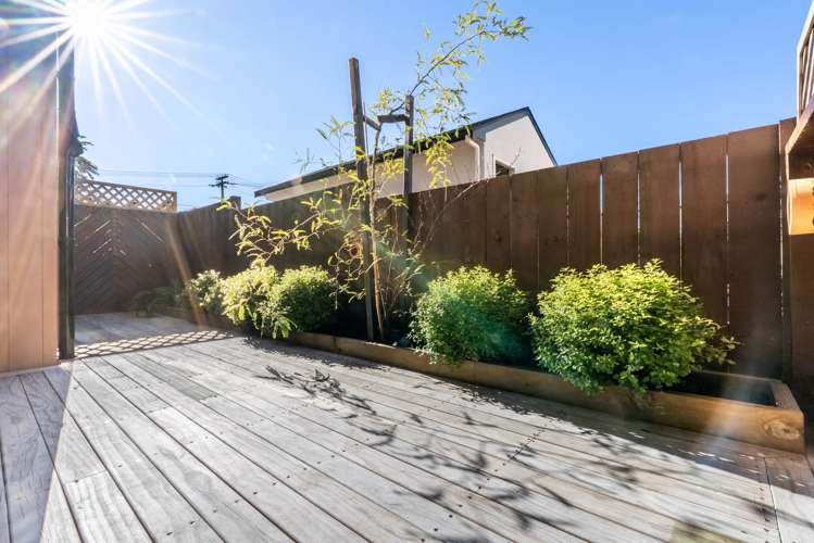 33 Williamson Avenue Belmont_12