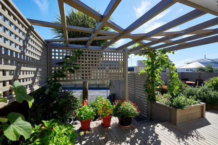 234c Beach Road Kaikoura_21