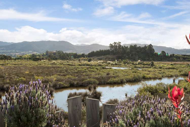 21 Riverside Place Katikati_2