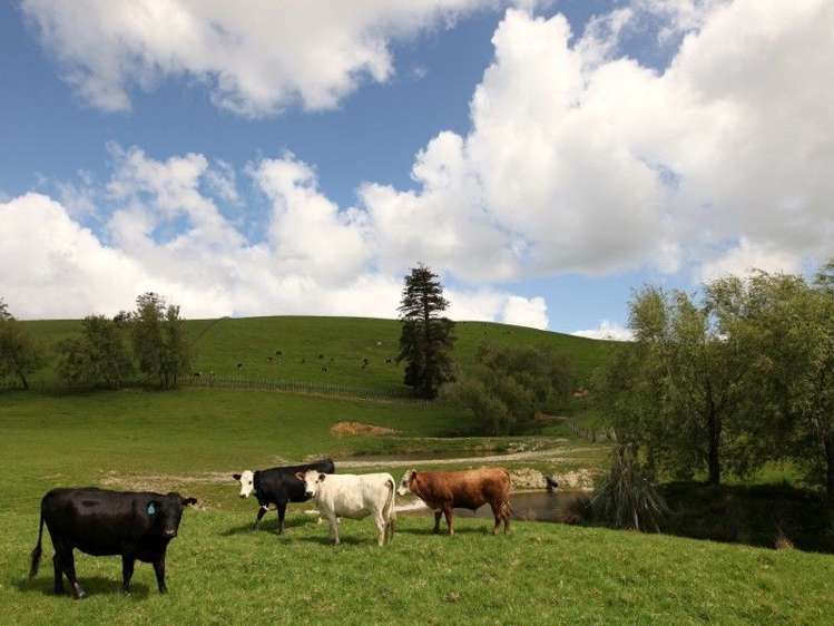 1019 Clevedon Kawakawa Road Clevedon_2