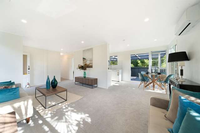 13 Leo Street Glen Eden_2