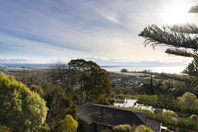 9 Orakei Street Tahunanui_25