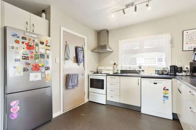 49 Greenpark Street Hoon Hay_3