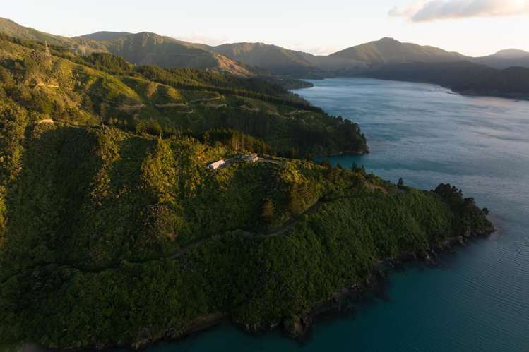 1786 Port Underwood Road Marlborough Sounds_21