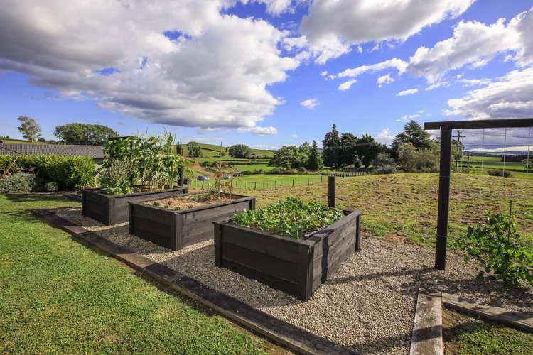 1181b Pokuru Road Te Kawa_7