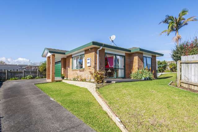 84 Pitt Avenue Clendon Park_1