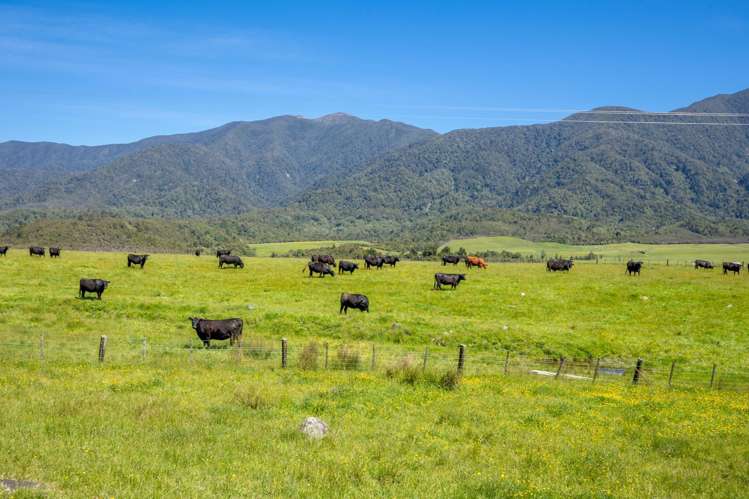 153 Quartz Range Road Bainham_25