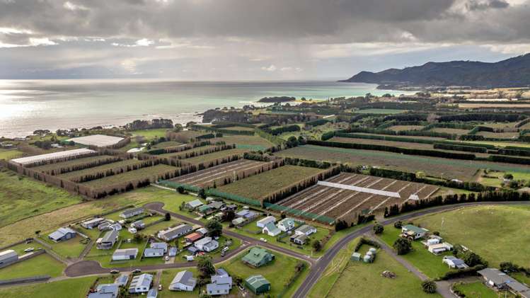 2 Te Maara Place Te Kaha_17
