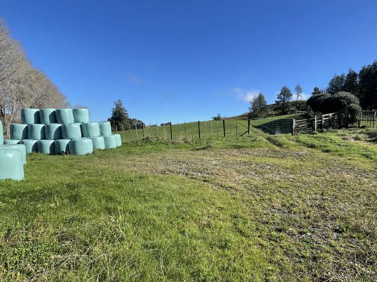 80b Mangaotaki Road Piopio_47