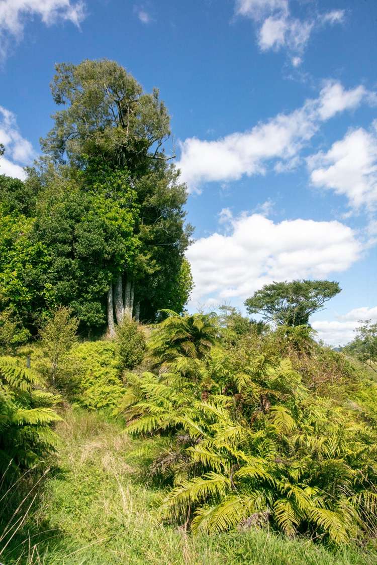 210A Goble Road Komata_23