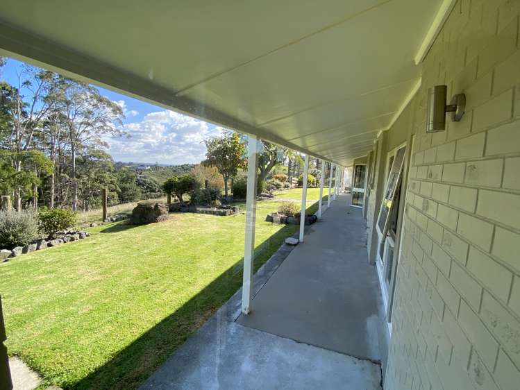 264 Ara-Kotinga Whitford_19