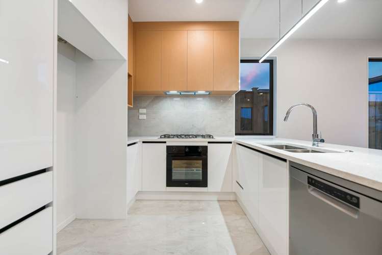 17 Sagitta Drive Flat Bush_5