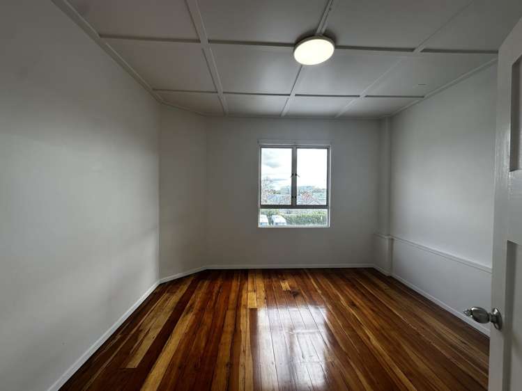 301 Dominion Road Mount Eden_5