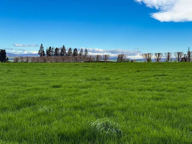 316 McDonald Road Pukerau_1