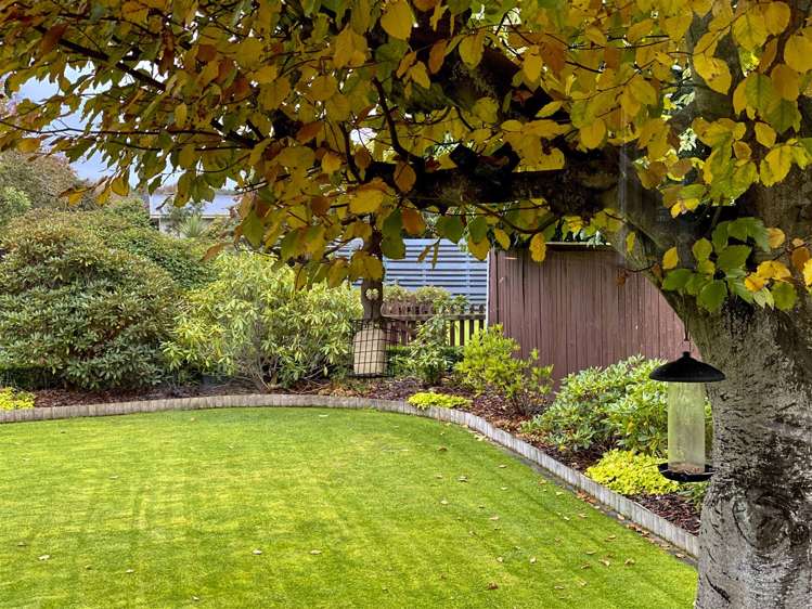 18 Montrose Street Gladstone_17