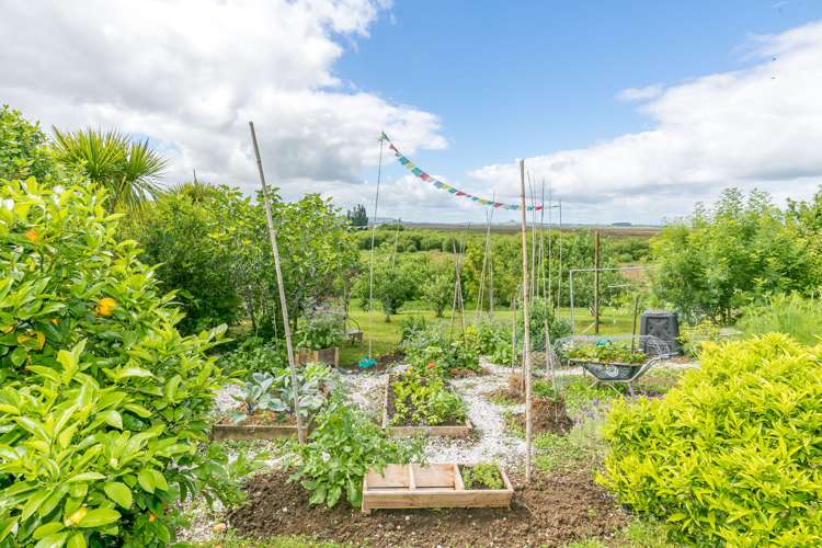 780 Island Block Road Te Kauwhata_30