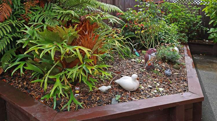 100b Rhinevale Close Henderson_20