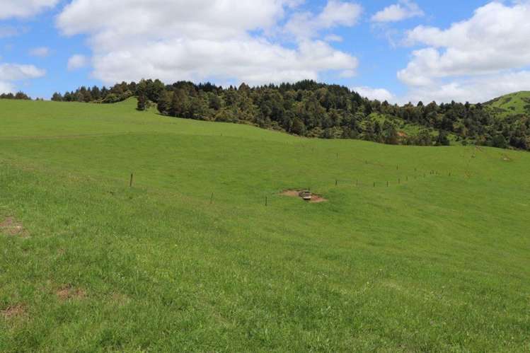 25 Gully Road Pukemiro_5