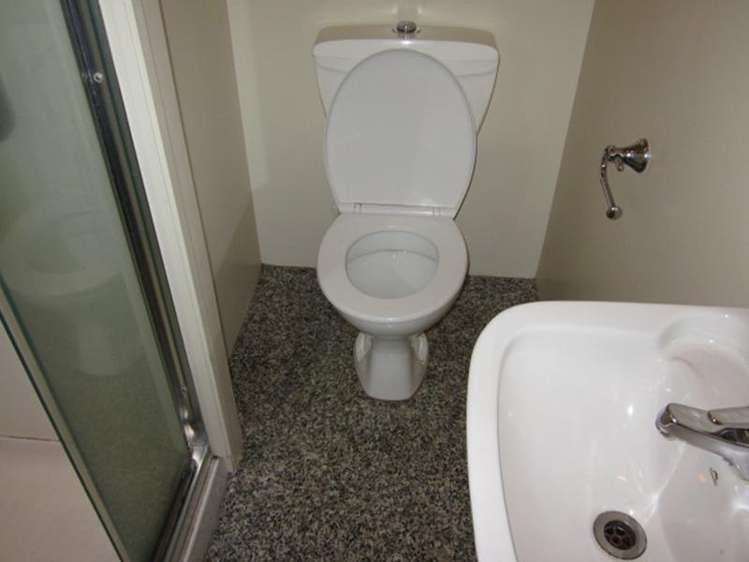 22 High Street Renwick_6